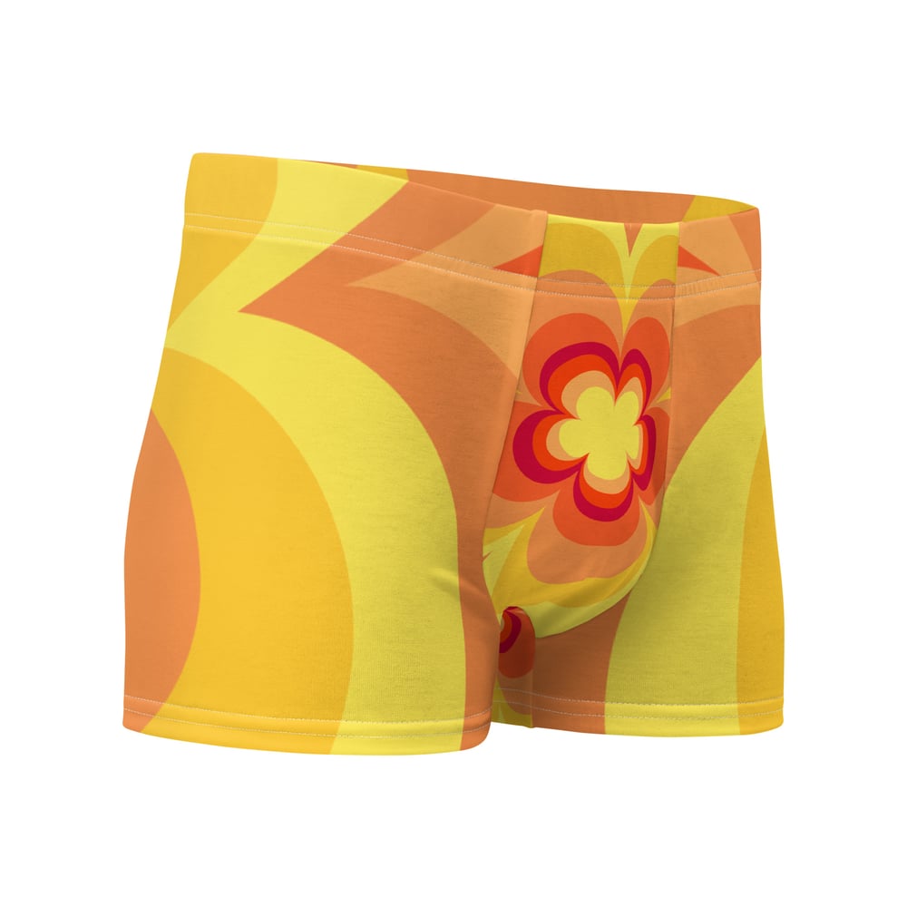 Image of Boxer Briefs