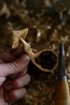 Mushroom Coffee Scoop….