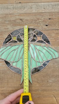 Image 3 of Luna moth