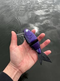Image 1 of Ruckus