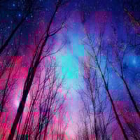 Image 1 of Twilight Woods 