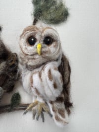 Image 6 of 'Having a Hoot'
