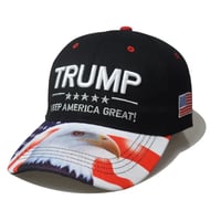 Image 4 of Trump Hat 1