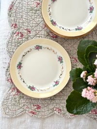 Image 1 of Assiettes à dessert - L’amandinoise x6