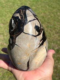 Image 6 of Septarian Nodule Polished Freeform | Madagascar #3243