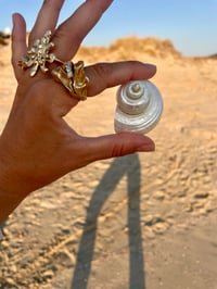 Image 2 of SEASHELL HOME