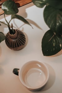 Image 3 of Plant lady stoneware coffee mug 