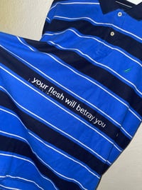 Image 2 of your flesh striped polo XL