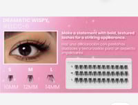 Image 1 of BEAUTY CREATIONS - CLUSTER LASHES