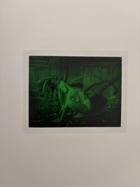Image 5 of HR GIGER - CAMILLE VIVIER