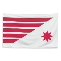 Red Wing Minnesota City Vision Flag