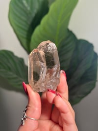 Image 2 of SELF STANDING NATURAL TRIPLET SMOKEY QUARTZ POINT -BRAZIL- N