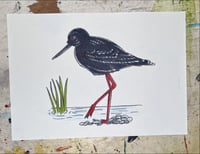 Black stilt a4 print 