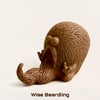 Wise Beardling