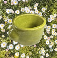Espresso Cup Kelly Green 