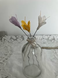 Image 1 of Crocus