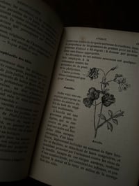 Image 7 of Plantes qui guérissent et plantes qui tuent, Olivier de Rawton, 1888!
