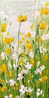 Image 1 of Little Buttercup Meadow 