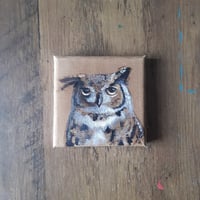Image 1 of Great Horned Owl