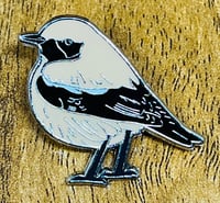Image 2 of Desert Wheatear - No.99 - UK Birding Pins - Enamel Pin Badge
