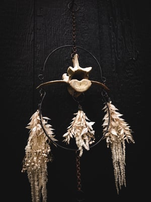 Image of Flora and Fauna Chandelier