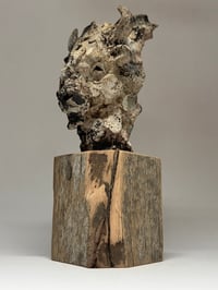 Image 4 of “Jed”