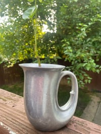 Image 1 of Arrowhead Plant in Unique Tuba Mug