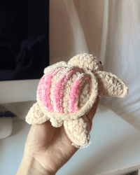 Image 2 of concha turtle