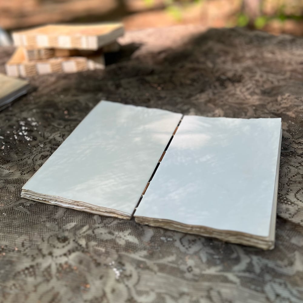 lie-flat commonplace book : mushroom