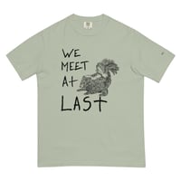 Image 12 of we meet at last skunk