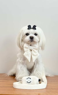 Image 4 of LOVE LUX WALKWEAR SET - IVORY