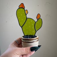 Image 3 of Opuntia Cactus