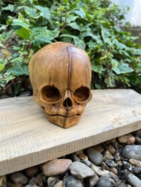 Image 5 of 1:1 scale Foetus Skull, hand carved Boxwood