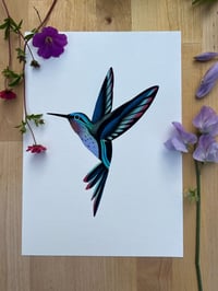 Image 2 of Colibri