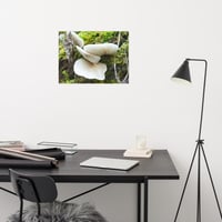 Image 1 of Mushroom Tree Premium Photo Print 