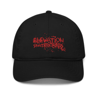 Image 1 of The dad hat