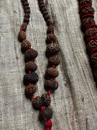 Image 4 of Rudraksha Beads