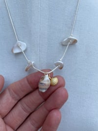 Image 2 of Shell Necklace 