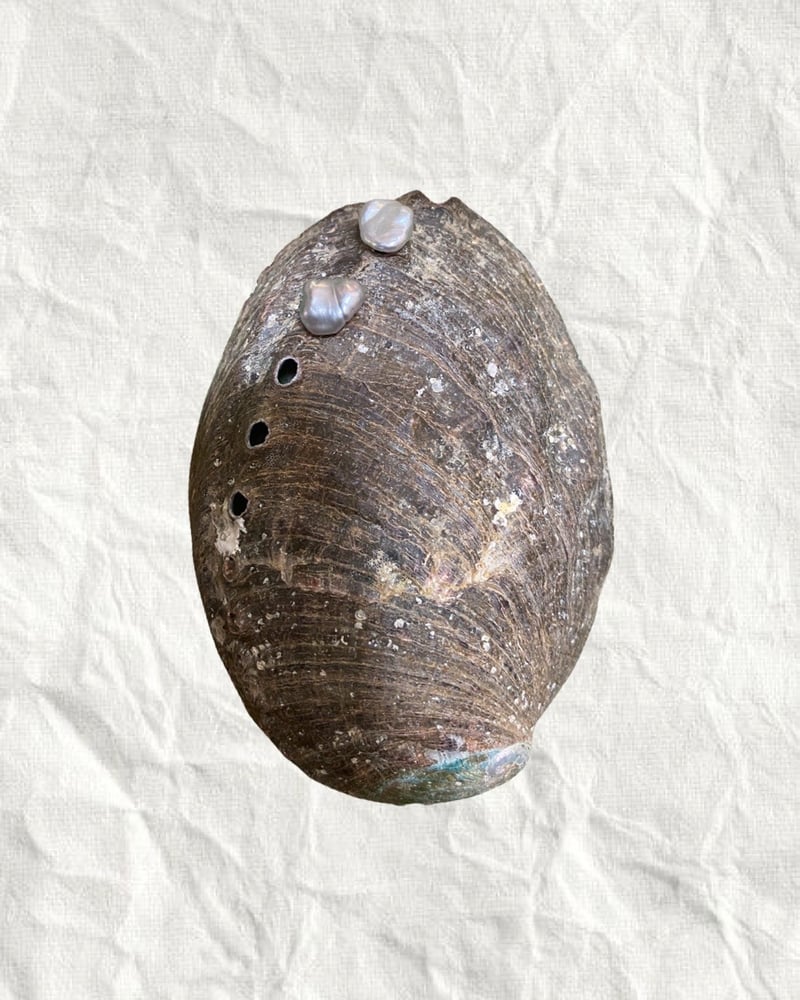 Image of Gray keshi stud earrings 