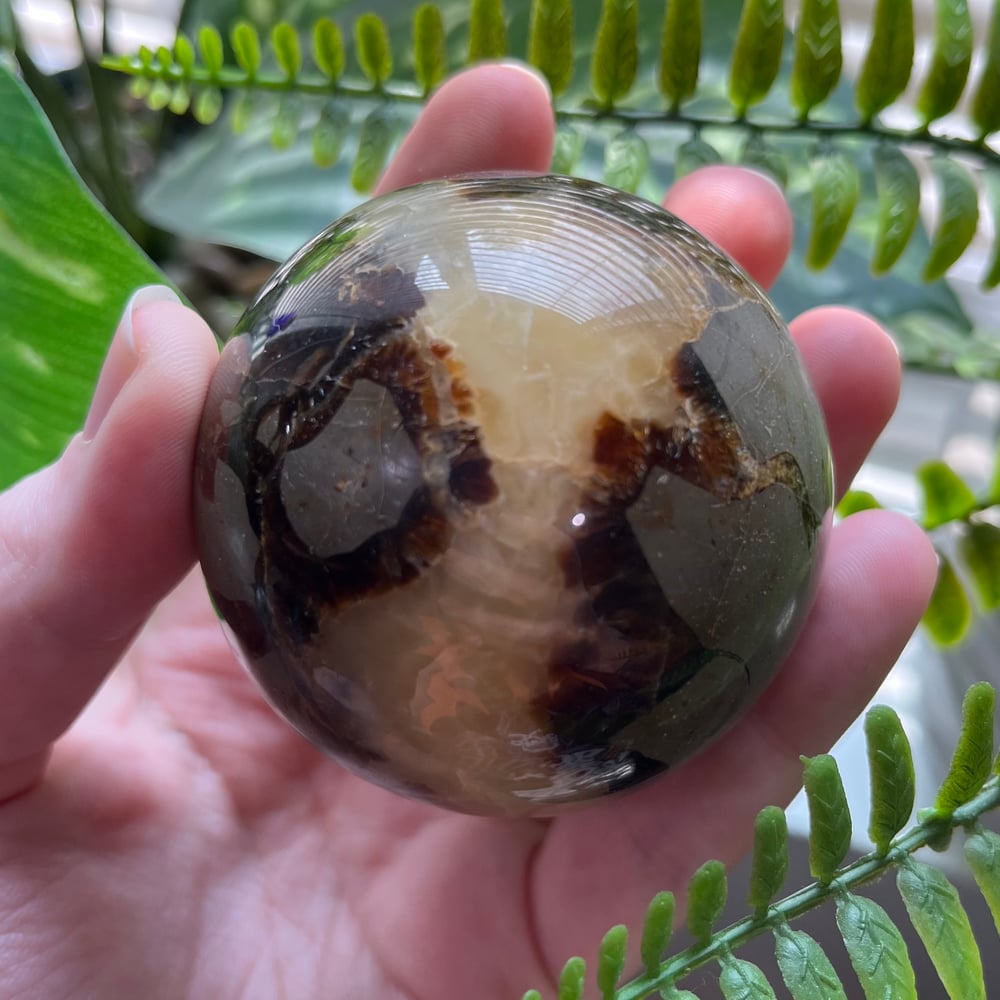 Septarian Sphere D