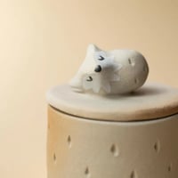 Image 2 of Fox box 🦊