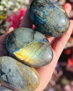 Image of Labradorite large palm stone 