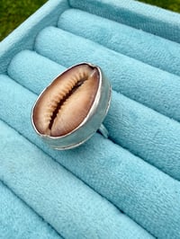 Image 2 of Cowry ring 2 - sample