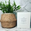 Zodiac Crystal Infused Candle 450g - LEO  **ONLY 10 AVAILABLE**