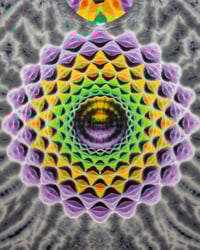 Image 5 of XL Mandala, Honeycurve Spine & Scrunch 