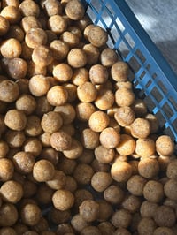 Image 5 of NAT trilogy boilies
