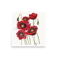 Image 17 of Pop of Poppies- Poster Print