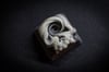 Skullface Uzushi V2 (GID)