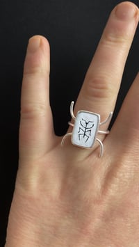 Image 1 of Phasme / Pièce unique