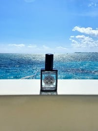 Image 6 of Revolution (Thawra/Anqalab)